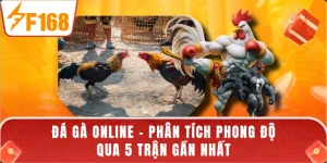 Đá Gà Online - Phân Tích Phong Độ Qua 5 Trận Gần Nhất