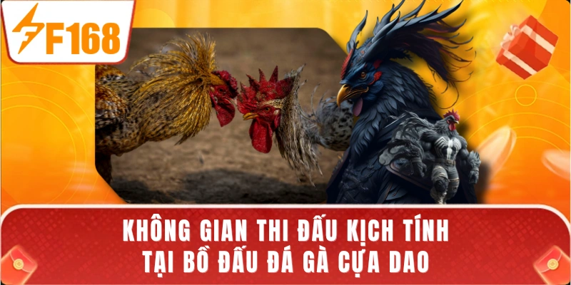 Không gian thi đấu kịch tính tại bồ đấu đá gà cựa dao