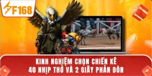 Kinh Nghiệm Chọn Chiến Kê - 40 Nhịp Thở Và 2 Giây Phản Đòn
