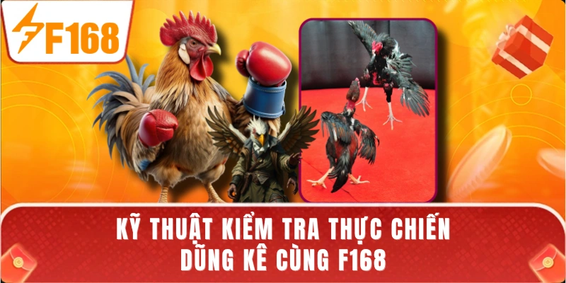 Kỹ thuật kiểm tra thực chiến dũng kê cùng F168